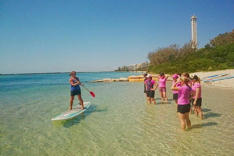 Golden Beach 1-Hour Stand-Up Paddleboard Hire On The Sunshine Coast - Attractions 1