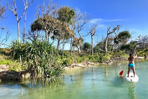 Golden Beach 1-Hour Stand-Up Paddleboard Hire On The Sunshine Coast - Attractions 5