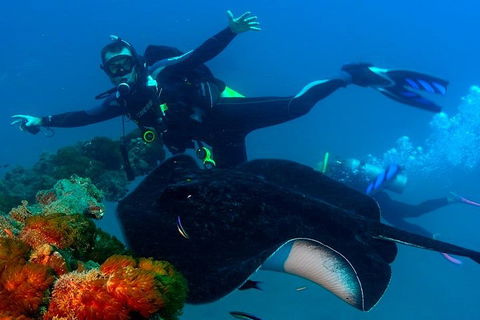 Scuba Dive The S.S. Yongala Wreck On The Great Barrier Reef. - Attractions 0