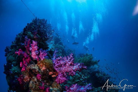 Scuba Dive The S.S. Yongala Wreck On The Great Barrier Reef. - Attractions 2