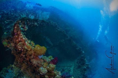 Scuba Dive The S.S. Yongala Wreck On The Great Barrier Reef. - Attractions 3