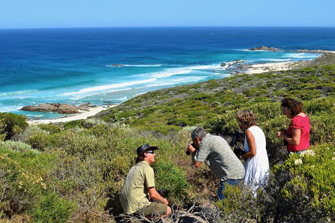 Margaret River Coastal And Wildlife Eco Trip From Busselton Or Dunsborough - Attractions 2