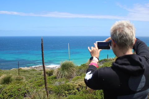 Margaret River Coastal And Wildlife Eco Trip From Busselton Or Dunsborough - Attractions 3