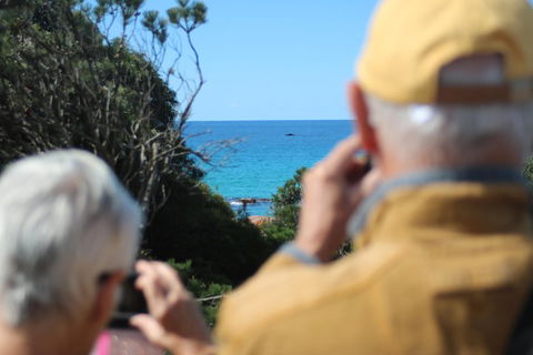 Margaret River Coastal And Wildlife Eco Trip From Busselton Or Dunsborough - Attractions 5